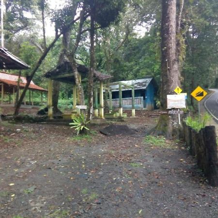 Ijen Mansjestic B&B Tamansuruh Eksteriør bilde